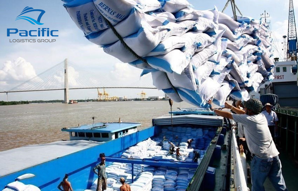 Quy trình xuất khẩu gạo bằng đường biển tại Pacific Logistics Group