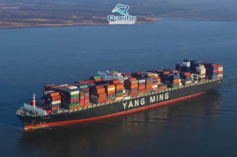 Yang Ming bổ sung thêm 11.000 TEU đóng mới cho tuyến Bờ Tây xuyên Thái Bình Dương