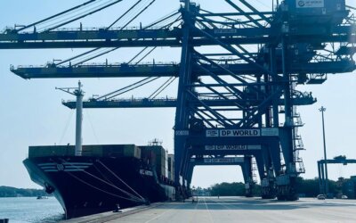 DP World’s Indian transshipment gateway suffers volume setbacks
