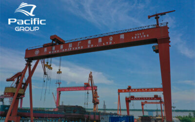 Toppling crane crushes Wuhu Shipyard security post, kills three