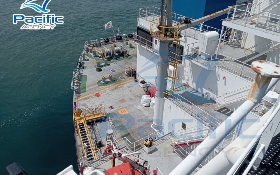 Pacific Agency: Đón tàu hàng rời hơn 17 vạn tấn tại cảng Dung Quất